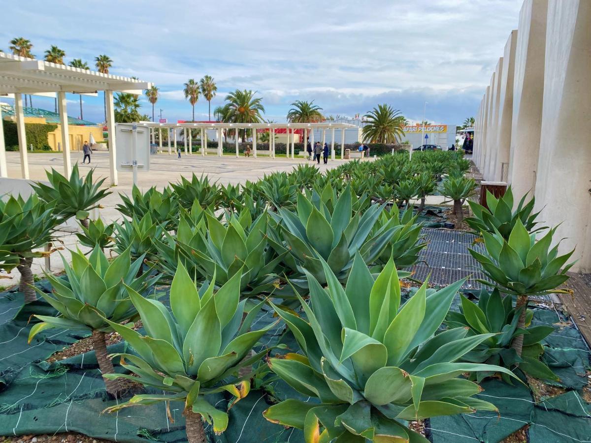 Menton Vacances Eksteriør bilde